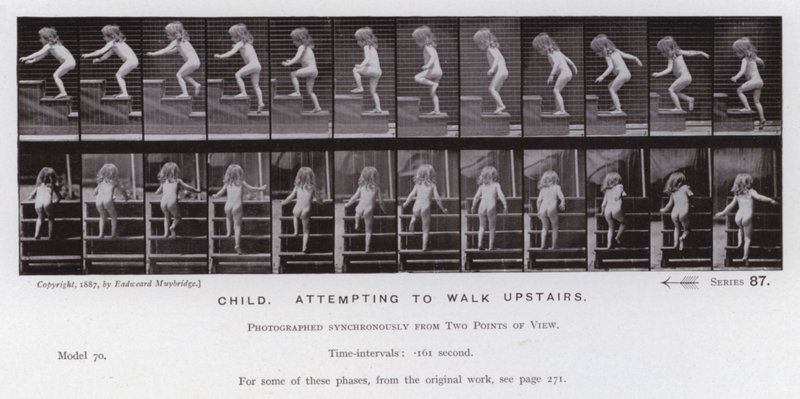 The Human Figure in Motion: Barn som försöker gå uppför trappan (s/v foto) av Eadweard Muybridge