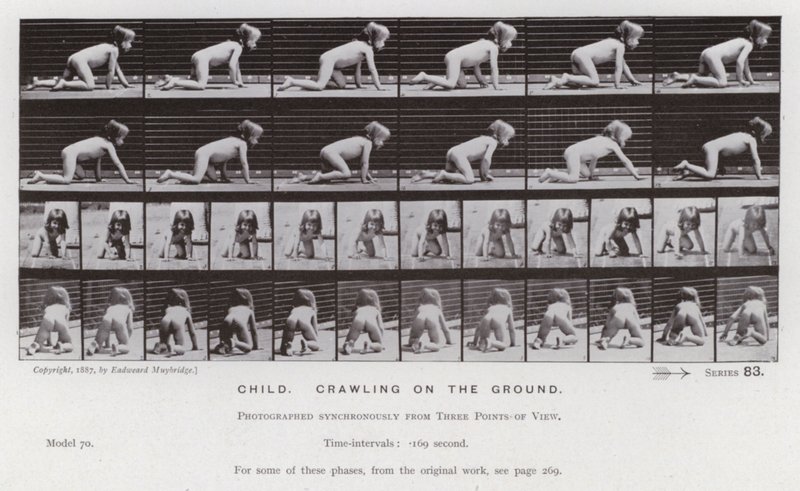 Människofiguren i rörelse: Barn som kryper på marken av Eadweard Muybridge