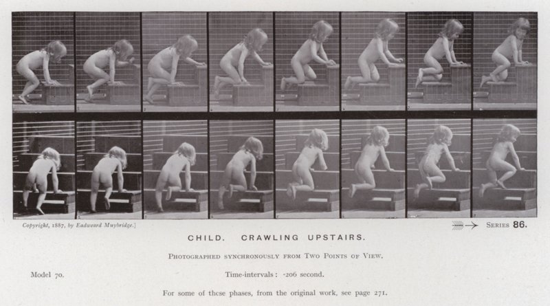 Den mänskliga figuren i rörelse: Barn som kryper uppför trappan (s/v foto) av Eadweard Muybridge