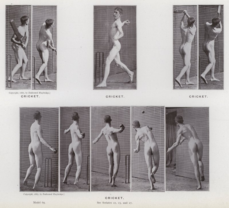 The Human Figure in Motion: Cricket (s/v foto) av Eadweard Muybridge