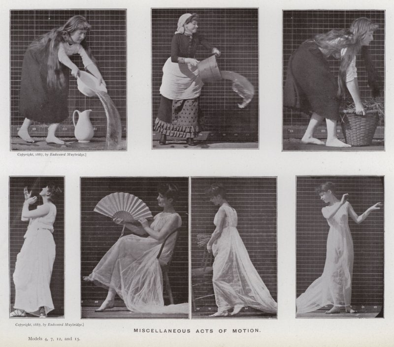 The Human Figure in Motion: Diverse rörelsehandlingar (s/v foto) av Eadweard Muybridge