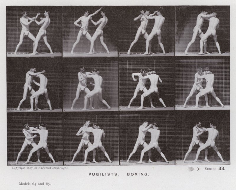 The Human Figure in Motion: Pugilists, Boxing (s/v foto) av Eadweard Muybridge