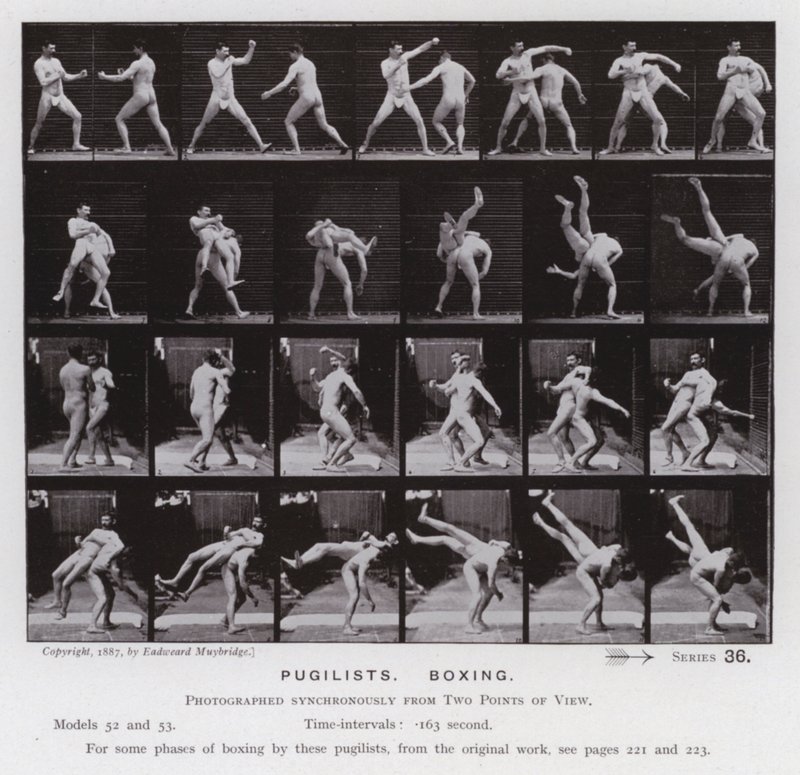 The Human Figure in Motion: Pugilists, Boxing (s/v foto) av Eadweard Muybridge