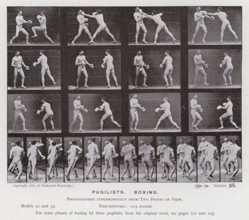 The Human Figure in Motion: Pugilists, Boxing (s/v foto) av Eadweard Muybridge