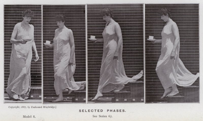 Den mänskliga figuren i rörelse: utvalda faser (s/v foto) av Eadweard Muybridge