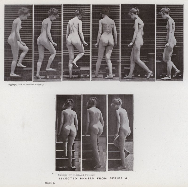 The Human Figure in Motion: Valda faser från serie 41 (s/v foto) av Eadweard Muybridge