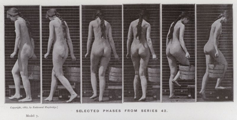 The Human Figure in Motion: Valda faser från serie 42 (s/v foto) av Eadweard Muybridge