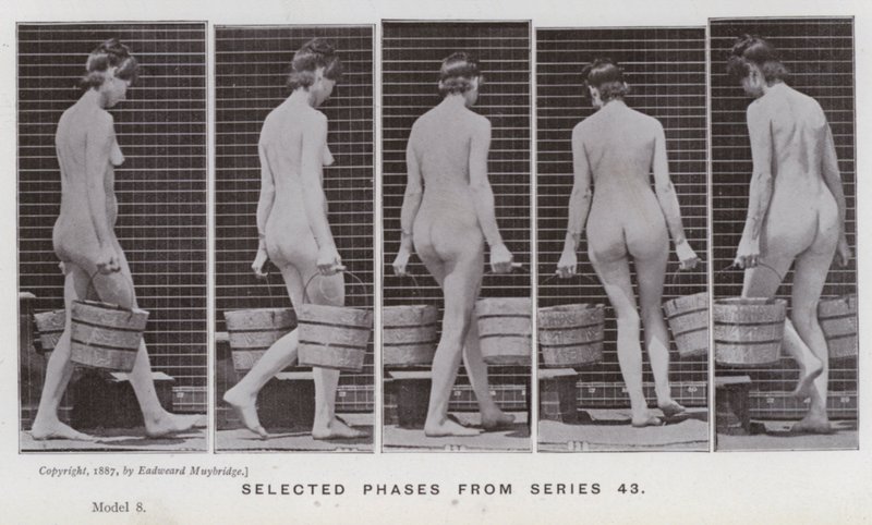The Human Figure in Motion: Valda faser från serie 43 (s/v foto) av Eadweard Muybridge