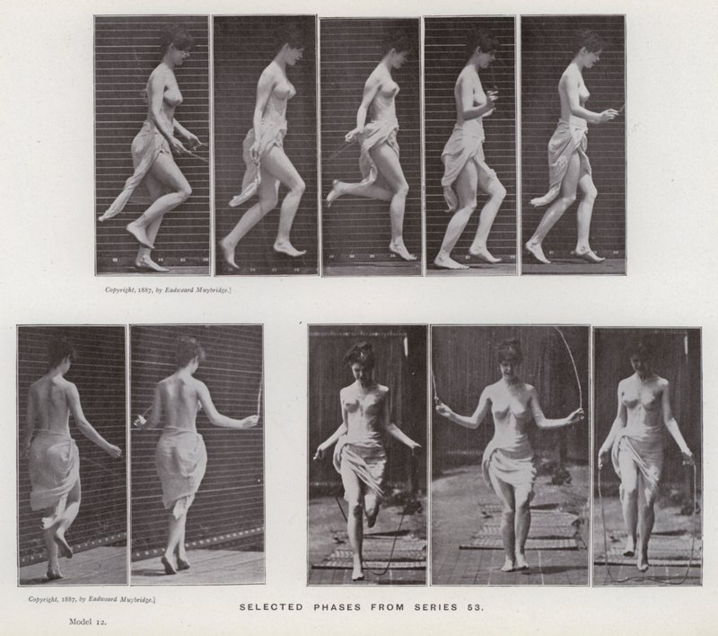 The Human Figure in Motion: Valda faser från serie 53 (s/v foto) av Eadweard Muybridge