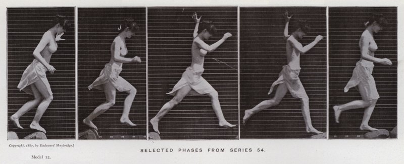 The Human Figure in Motion: Valda faser från serie 54 (s/v foto) av Eadweard Muybridge