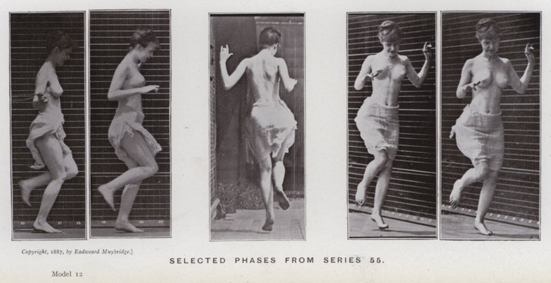 The Human Figure in Motion: Valda faser från serie 55 (s/v foto) av Eadweard Muybridge