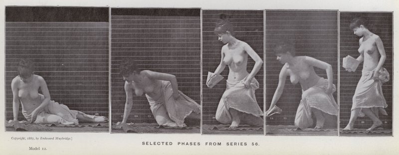 The Human Figure in Motion: Valda faser från serie 56 (s/v foto) av Eadweard Muybridge