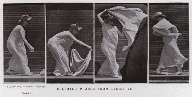 Den mänskliga figuren i rörelse: Valda faser från serie 61 av Eadweard Muybridge