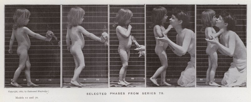 The Human Figure in Motion: Valda faser från serie 79 (s/v foto) av Eadweard Muybridge