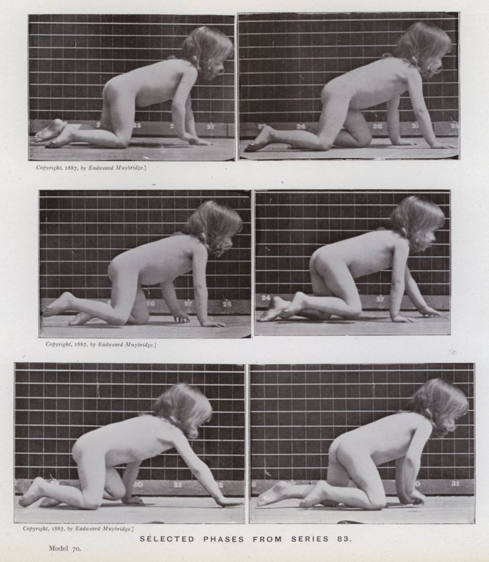 The Human Figure in Motion: Valda faser från serie 83 (s/v foto) av Eadweard Muybridge