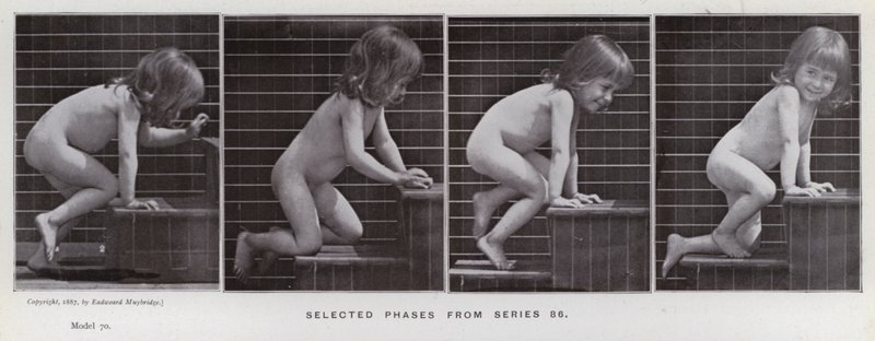 The Human Figure in Motion: Valda faser från serie 86 (s/v foto) av Eadweard Muybridge