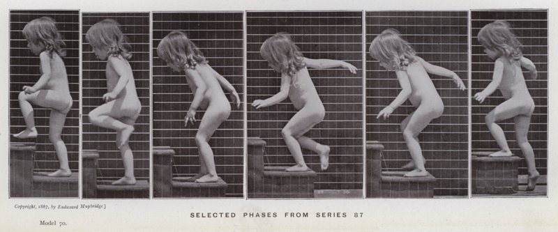 The Human Figure in Motion: Valda faser från serie 87 (s/v foto) av Eadweard Muybridge