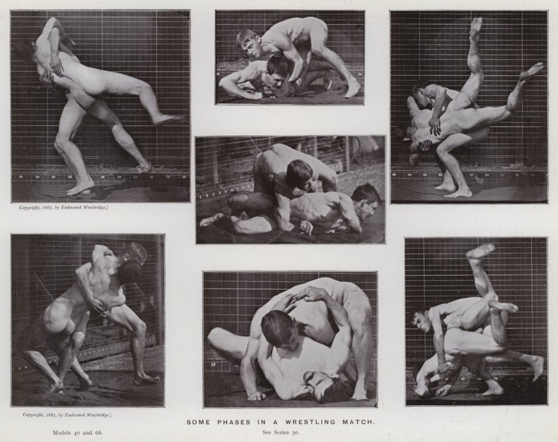 Den mänskliga figuren i rörelse: Några faser i en brottningsmatch (s/v foto) av Eadweard Muybridge
