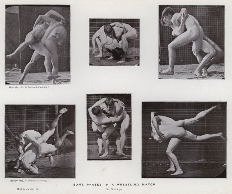 Den mänskliga figuren i rörelse: Några faser i en brottningsmatch av Eadweard Muybridge