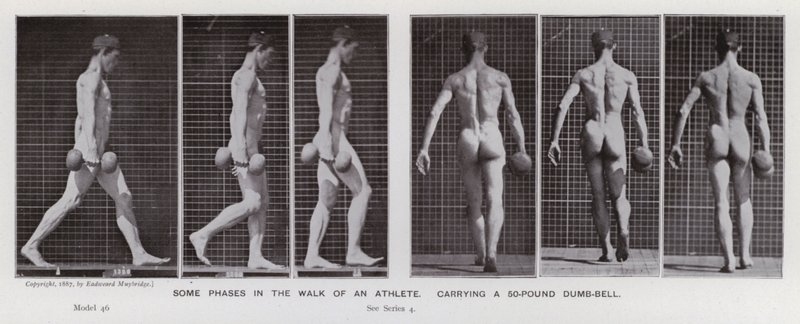Den mänskliga figuren i rörelse: Några faser i en idrottsmans promenad som bär en hantel på 50 pund (s/v foto) av Eadweard Muybridge