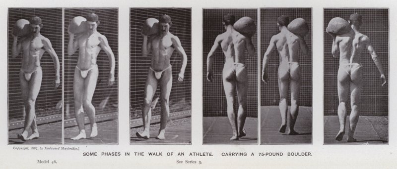 Den mänskliga figuren i rörelse: Några faser i en idrottsmans gång som bär på en sten på 75 pund (s/v foto) av Eadweard Muybridge