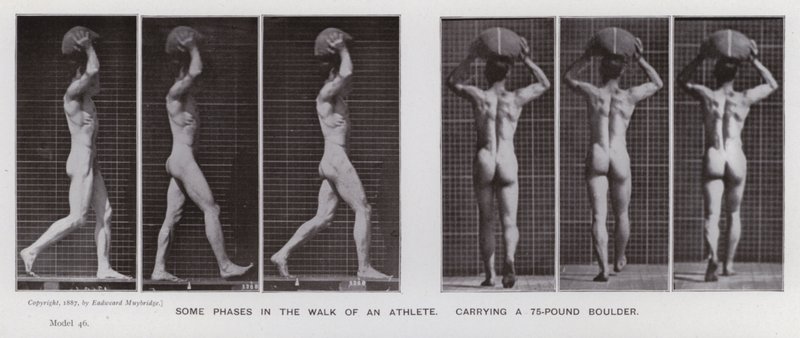 Den mänskliga figuren i rörelse: Några faser i en idrottsmans promenad som bär på ett stenblock på 75 pund (s/v foto) av Eadweard Muybridge