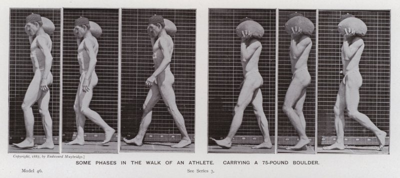 Den mänskliga figuren i rörelse: Några faser i en idrottsmans promenad som bär på ett stenblock på 75 pund (s/v foto) av Eadweard Muybridge