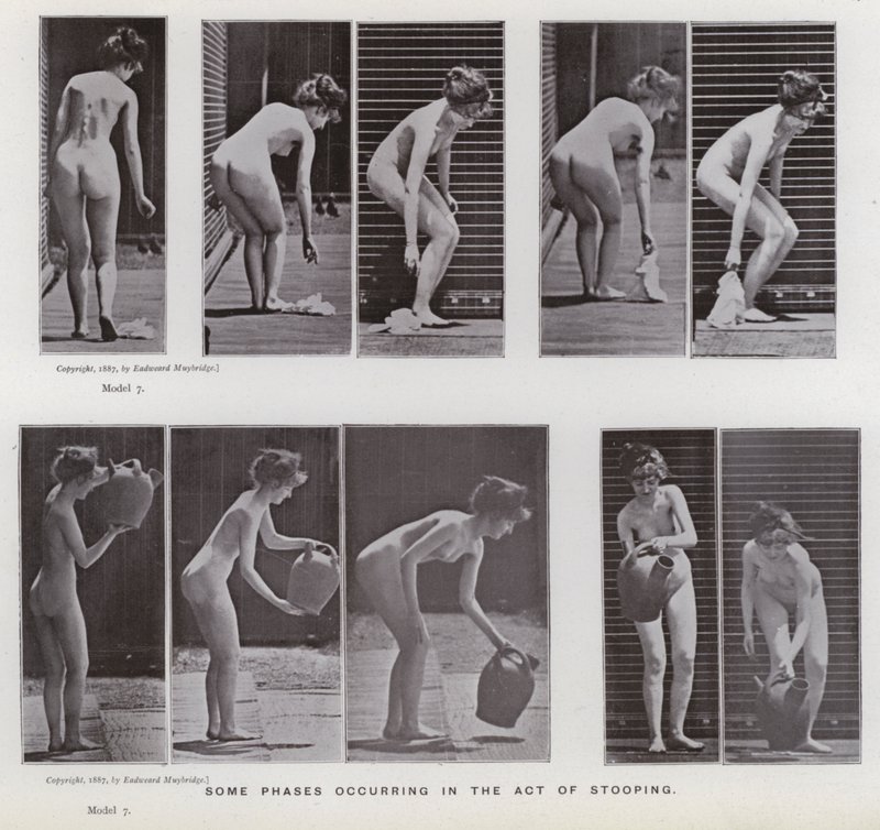 Den mänskliga figuren i rörelse: Vissa faser som inträffar i handlingen att böja sig av Eadweard Muybridge