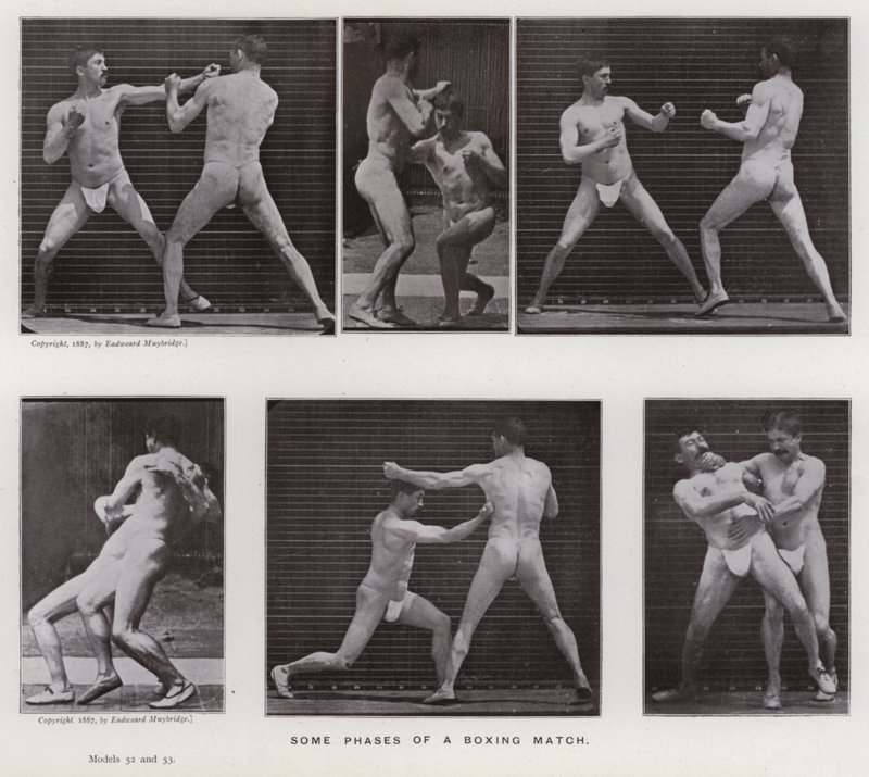 The Human Figure in Motion: Några faser av en boxningsmatch (s/v foto) av Eadweard Muybridge