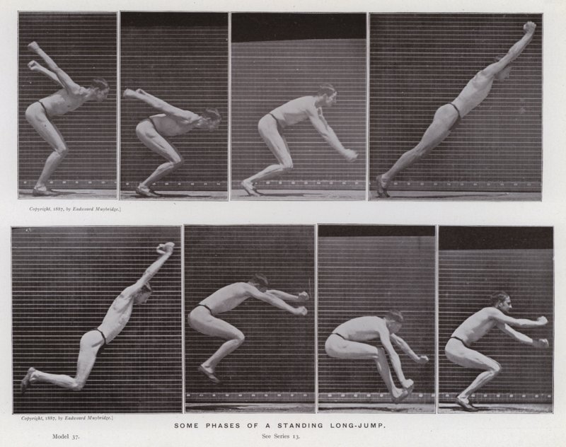 Den mänskliga figuren i rörelse: Några faser av ett stående längdhopp (s/v foto) av Eadweard Muybridge