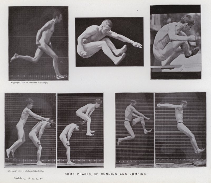 Den mänskliga figuren i rörelse: Några faser av löpning och hoppning (s/v foto) av Eadweard Muybridge