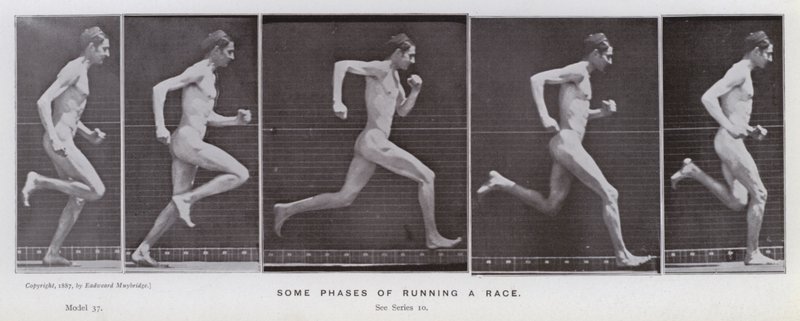 Den mänskliga figuren i rörelse: Några faser av att springa för ett lopp (s/v-bild) av Eadweard Muybridge
