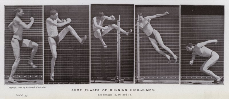 Den mänskliga figuren i rörelse: Några faser av att springa höjdhopp (s/v foto) av Eadweard Muybridge
