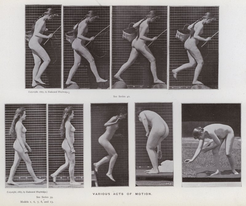 Den mänskliga figuren i rörelse: Olika rörelsehandlingar (s/v foto) av Eadweard Muybridge