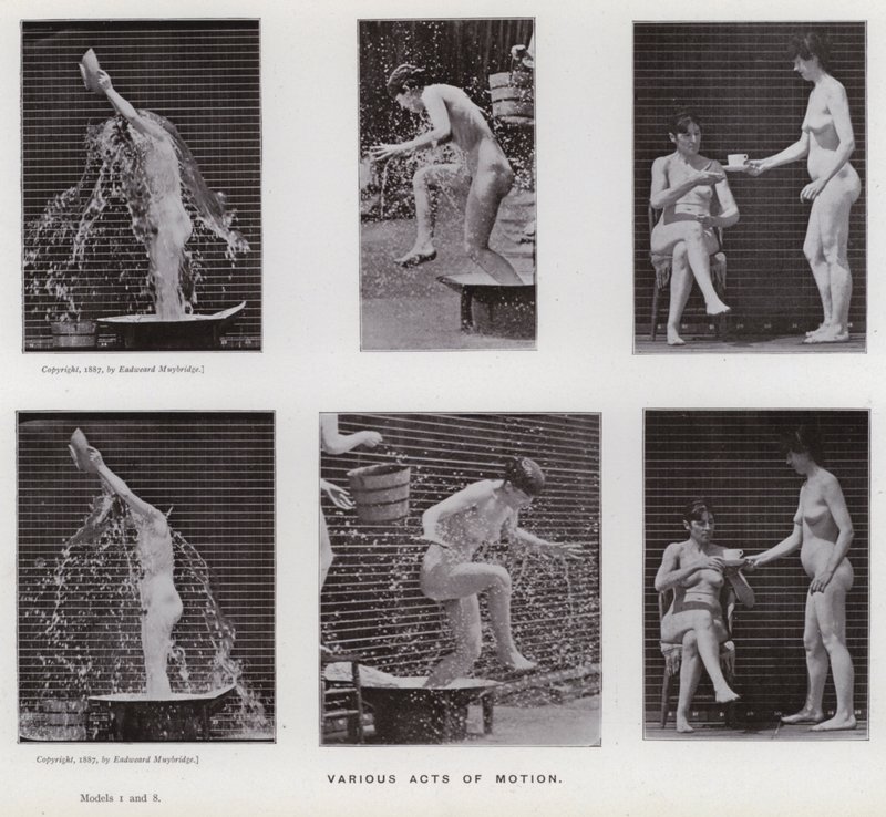 Den mänskliga figuren i rörelse: Olika rörelsehandlingar (s/v-foto) av Eadweard Muybridge