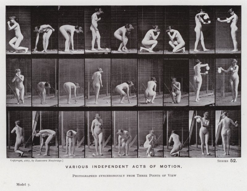Den mänskliga figuren i rörelse: Olika oberoende rörelsehandlingar (s/v foto) av Eadweard Muybridge