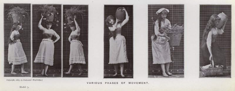 Den mänskliga figuren i rörelse: Olika faser av rörelse (s/v-foto) av Eadweard Muybridge
