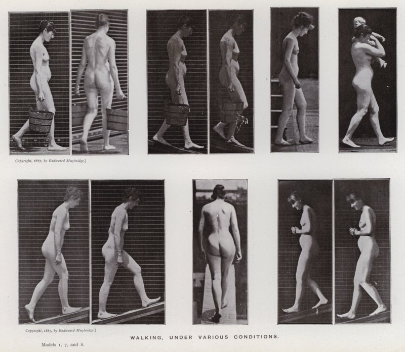 Den mänskliga figuren i rörelse: Gå, under olika förhållanden (s/v foto) av Eadweard Muybridge
