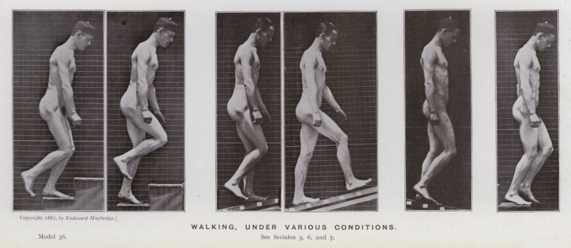 Den mänskliga figuren i rörelse: Gå, under olika förhållanden (s/v foto) av Eadweard Muybridge