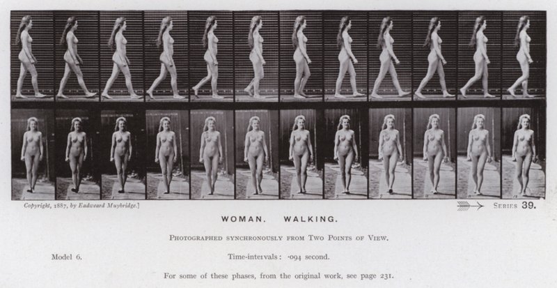 Den mänskliga figuren i rörelse: kvinna, gående (s/v foto) av Eadweard Muybridge