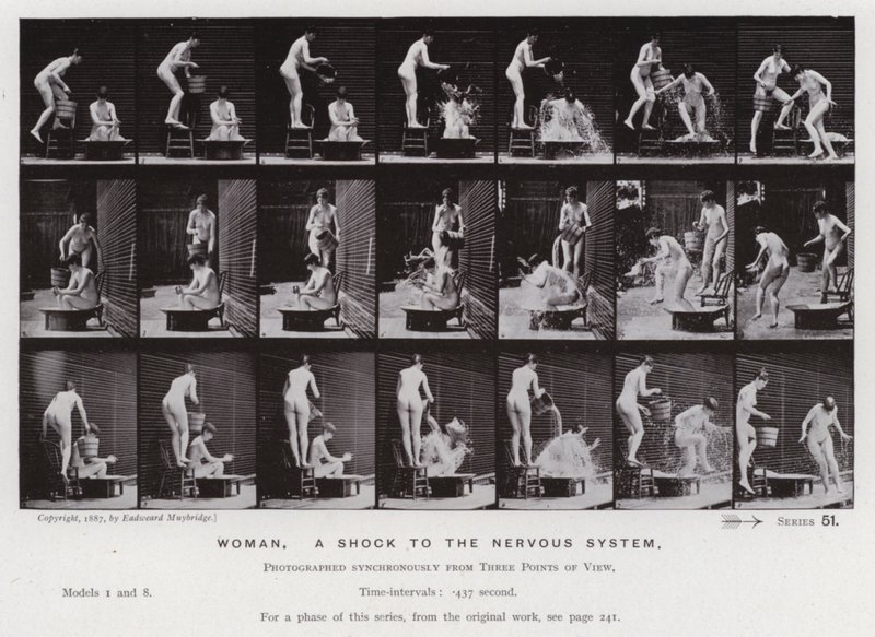The Human Figure in Motion: Kvinna, en chock för nervsystemet (s/v foto) av Eadweard Muybridge