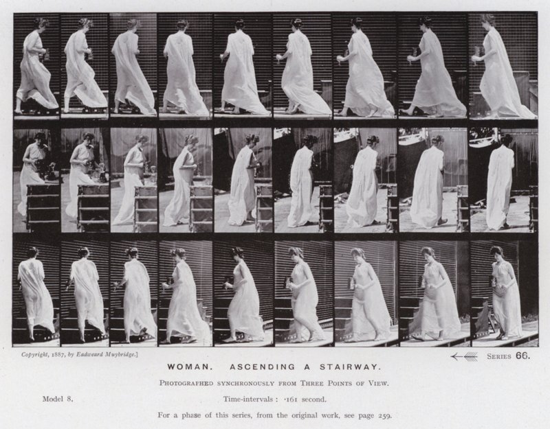 Den mänskliga figuren i rörelse: kvinna som går uppför en trappa (s/v foto) av Eadweard Muybridge