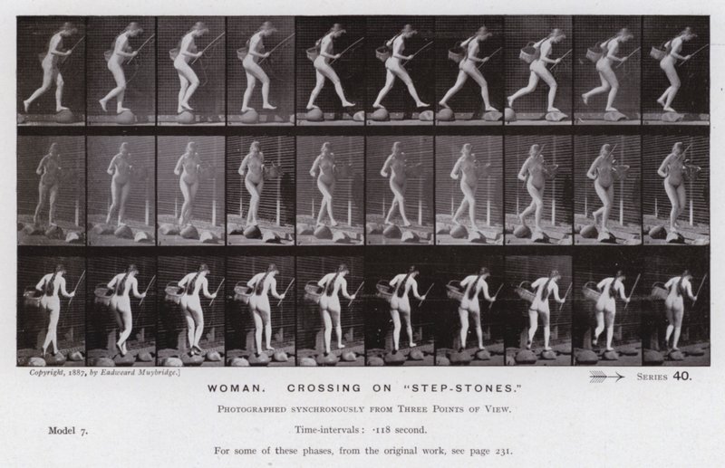 Den mänskliga figuren i rörelse: Kvinna, korsar på "stegstenar" (s/v foto) av Eadweard Muybridge