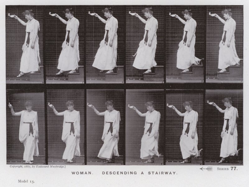 Den mänskliga figuren i rörelse: kvinna som går ner för en trappa (s/v foto) av Eadweard Muybridge