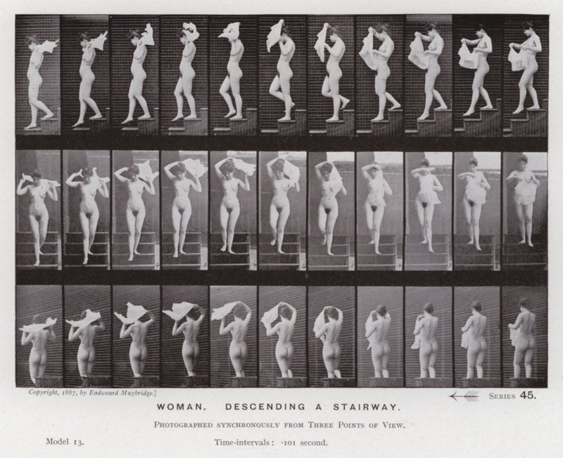 Den mänskliga figuren i rörelse: kvinna som går ner för en trappa (s/v foto) av Eadweard Muybridge