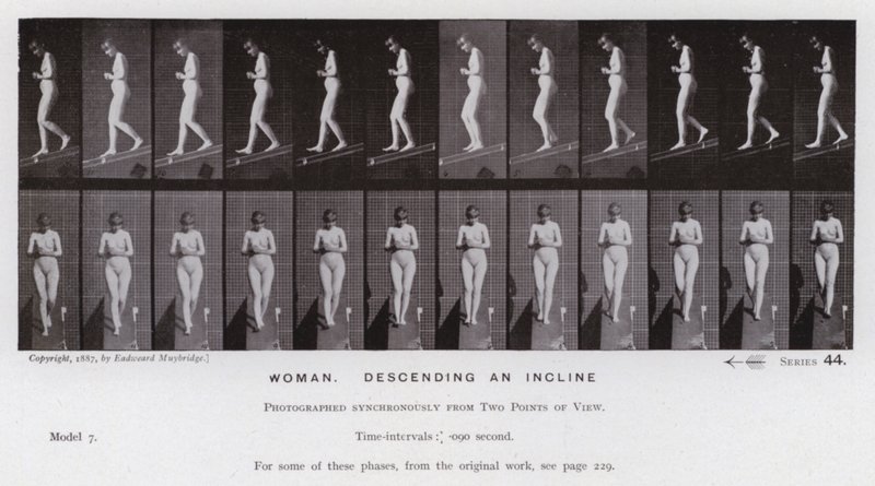 Den mänskliga figuren i rörelse: Kvinna, nedför en lutning (s/v foto) av Eadweard Muybridge