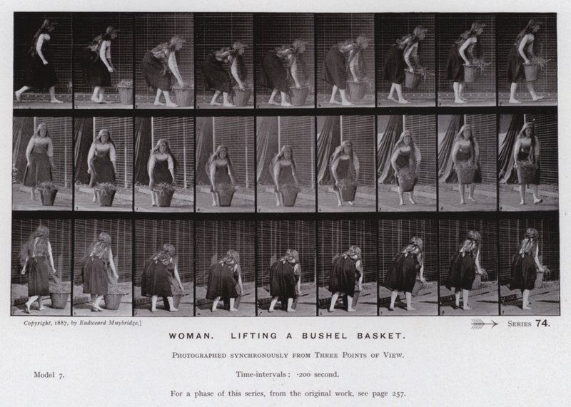 Den mänskliga figuren i rörelse: Kvinna som lyfter en skäppakorg (s/v foto) av Eadweard Muybridge