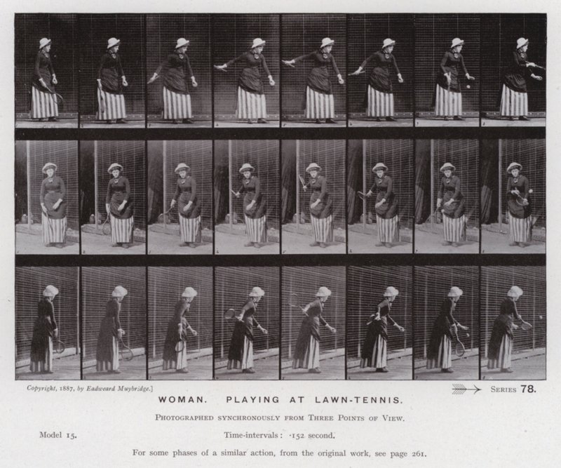 The Human Figure in Motion: Kvinna som spelar på grästennis (s/v foto) av Eadweard Muybridge