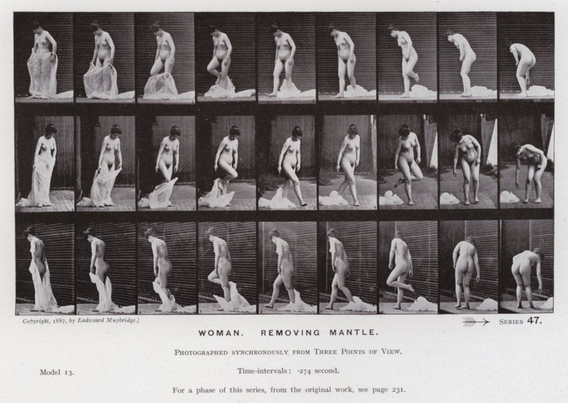 Den mänskliga figuren i rörelse: kvinna som tar bort manteln (s/v foto) av Eadweard Muybridge