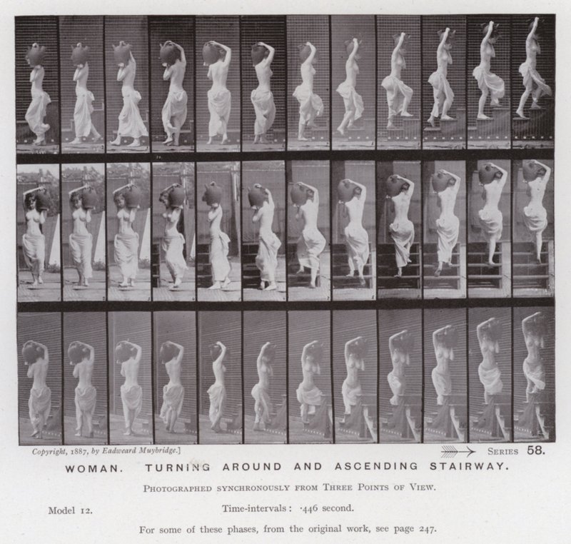 Den mänskliga figuren i rörelse: Kvinna, vänder sig om och går uppför trappan (s/v foto) av Eadweard Muybridge